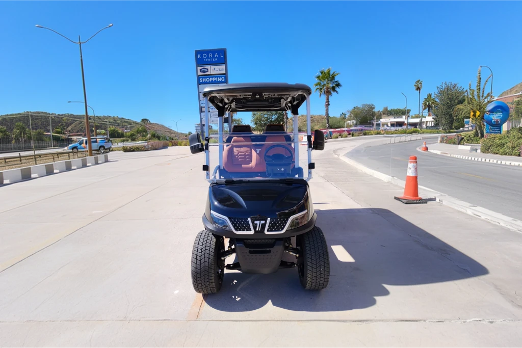 2025 TARA Roadster 2+2 (Black with Brown Seats) - DEMO UNIT - Like New! - Hardy Carts & Equipment