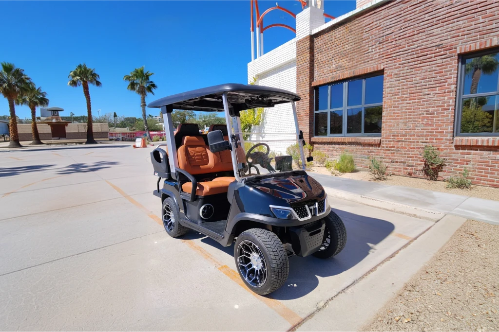 2025 TARA Roadster 2+2 (Black with Brown Seats) - DEMO UNIT - Like New! - Hardy Carts & Equipment
