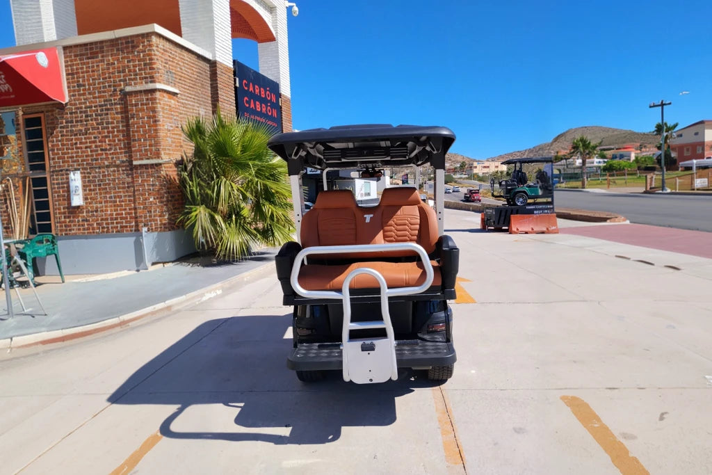 2025 TARA Roadster 2+2 (Black with Brown Seats) - DEMO UNIT - Like New! - Hardy Carts & Equipment