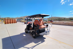 2025 TARA Roadster 2+2 (Black with Brown Seats) - DEMO UNIT - Like New! - Hardy Carts & Equipment