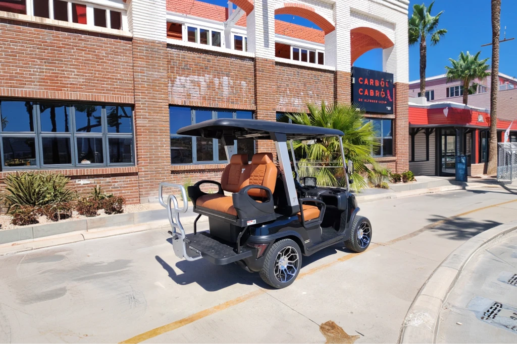2025 TARA Roadster 2+2 (Black with Brown Seats) - DEMO UNIT - Like New! - Hardy Carts & Equipment