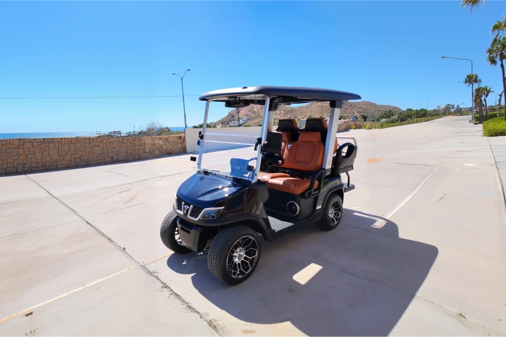 2025 TARA Roadster 2+2 (Black with Brown Seats) - DEMO UNIT - Like New! - Hardy Carts & Equipment