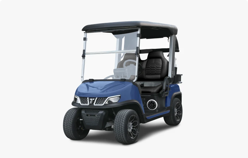 2-Seater Golf Cart - Hardy Carts & Equipment