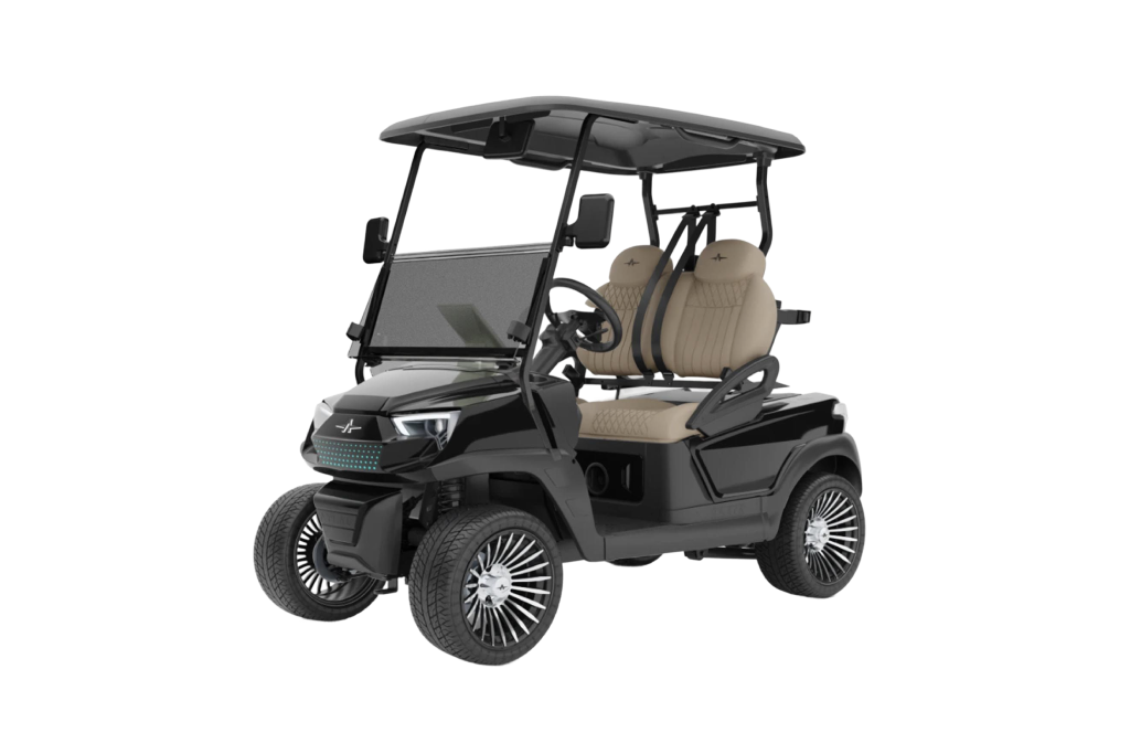 Atlas 2 Passenger Jet Black with Pebble Seat -  Hardy Carts & Equipment