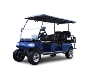 Carrito De Golf Carrier 6