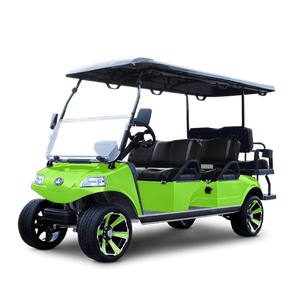 Solid Paints Lime Green