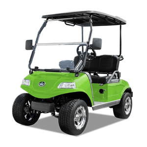 Solid Paints Lime Green