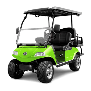 Solid Paints Lime Green