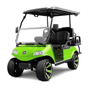 Solid Paints Lime Green