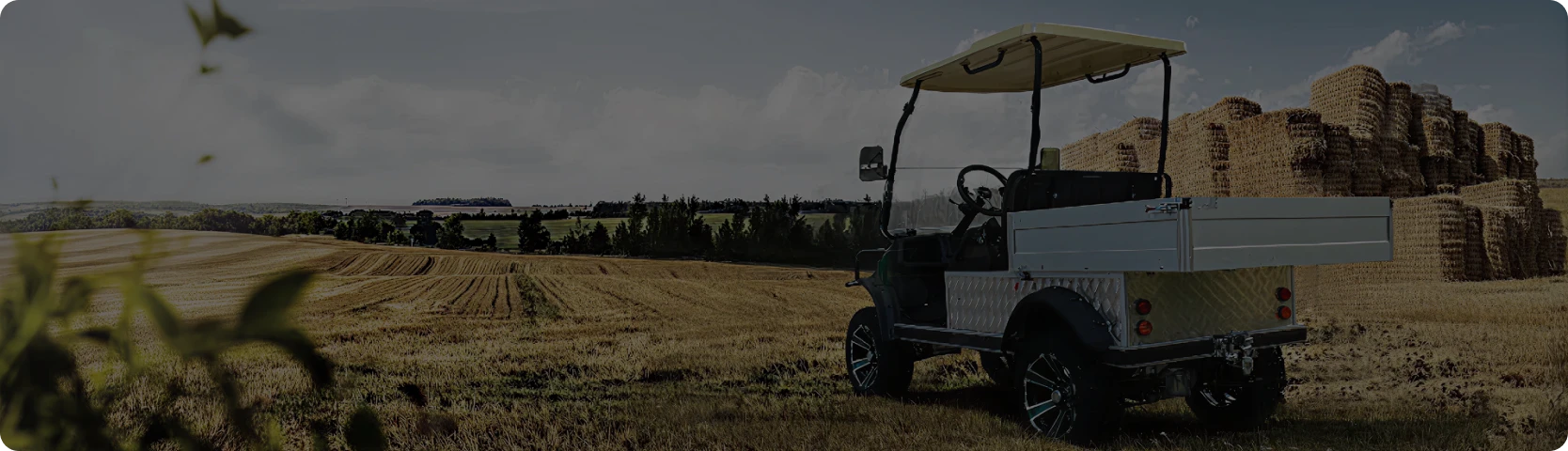 Commercial Golf Carts - Hardy Carts & Equipments