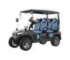 D-MAX GT4 -Artic Grey- (Ocean Wave Blue) - Hardy carts & Equipment