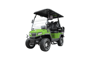 Solid Paints Lime Green