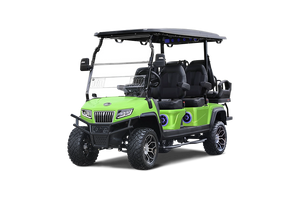 Solid Paints Lime Green