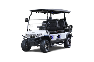 Solid Paints  Custom Paint (TBD)