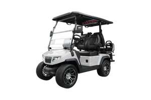 Solid Paints  Custom Paint (TBD)