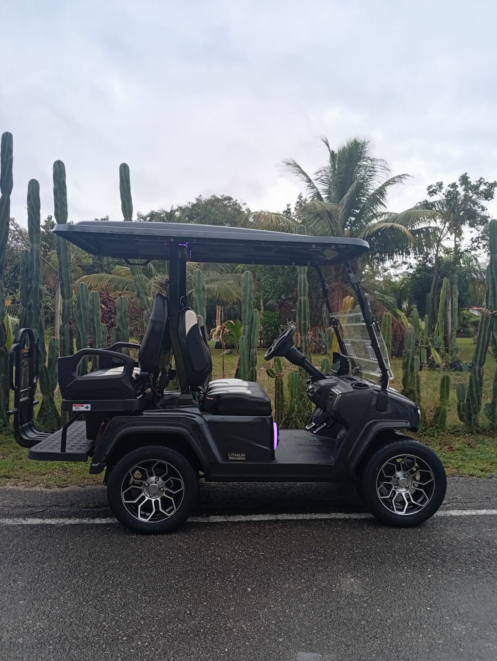 D5 Ranger 2+2 Plus - Arctic Grey - Black & White Seats - color matching roof+$276 USD - New in Stock