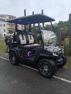 D5 Ranger 2+2 Plus - Arctic Grey - Black & White Seats - color matching roof+$276 USD - New in Stock