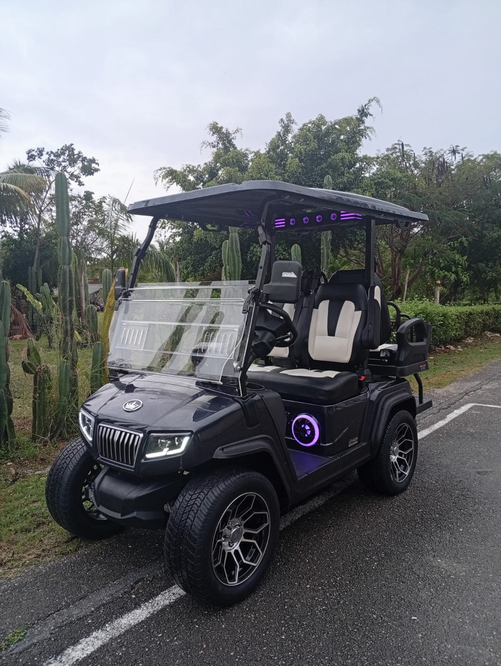 D5 Ranger 2+2 Plus - Arctic Grey - Black & White Seats - color matching roof+$276 USD - New in Stock