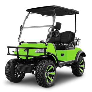 Solid Paints Lime Green