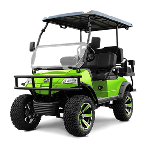 Solid Paints Lime Green