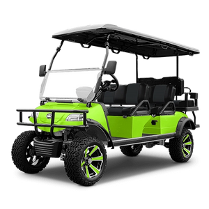 Solid Paints Lime Green