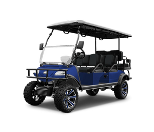Carrito De Golf Forester 6