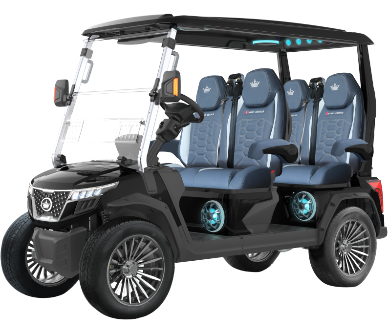 D-MAX GT4 Passenger | Hardy Carts & Equipment