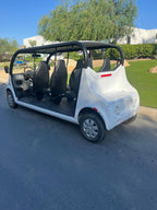 GEM E6 Polaris -White with Black Seats - Hardy Carts & Equipment