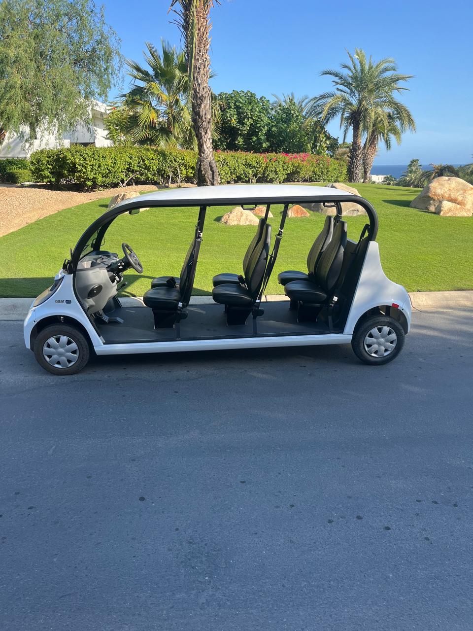 GEM E6 Polaris -White with Black Seats- Hardy Carts & Equipment