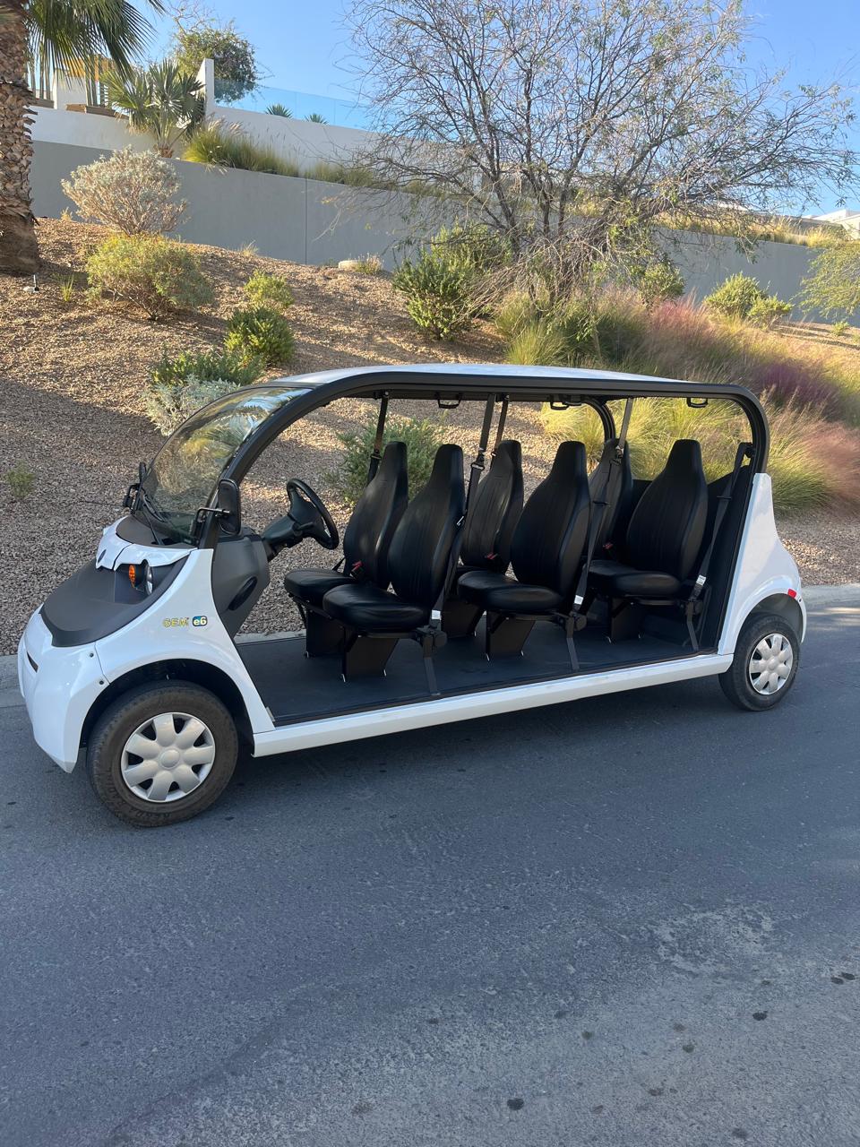 GEM E6 Polaris -White with Black Seats - Hardy Carts & Equipment