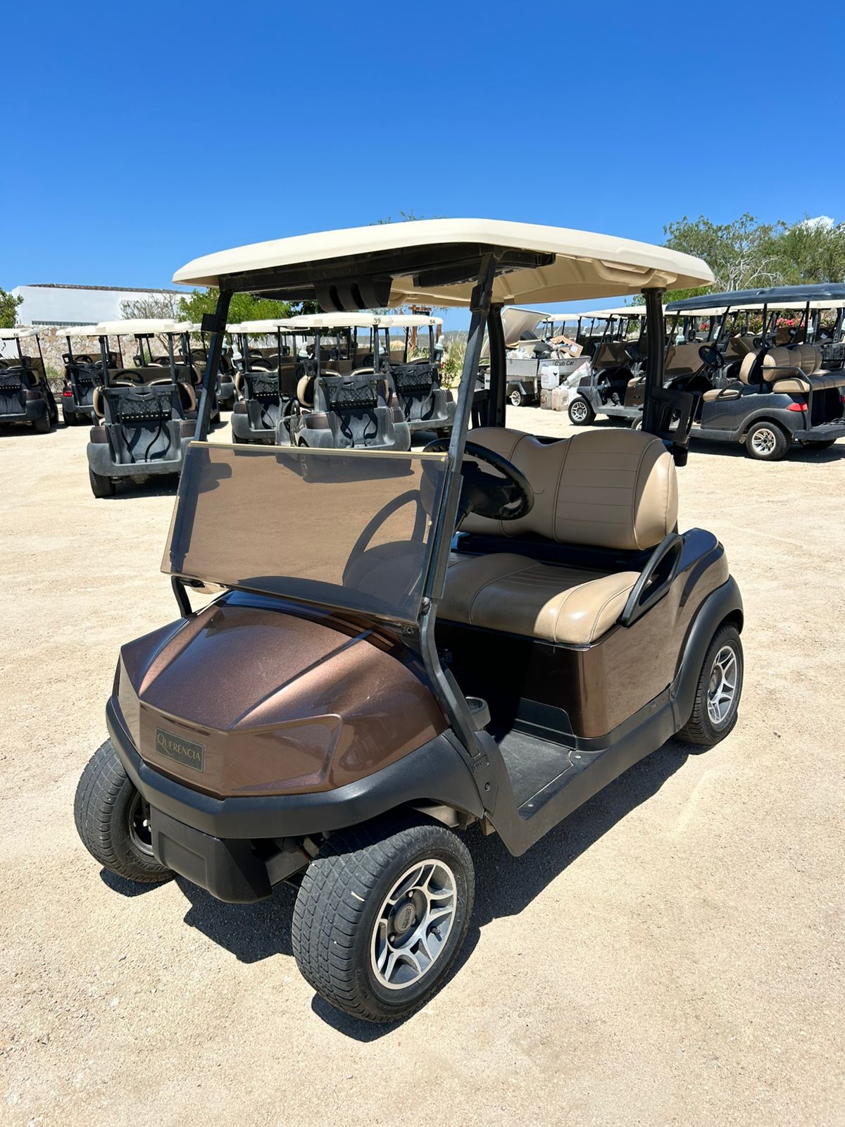 Club Car- 2 Pass-Fleet Carts - Hardy Carts & Equipment