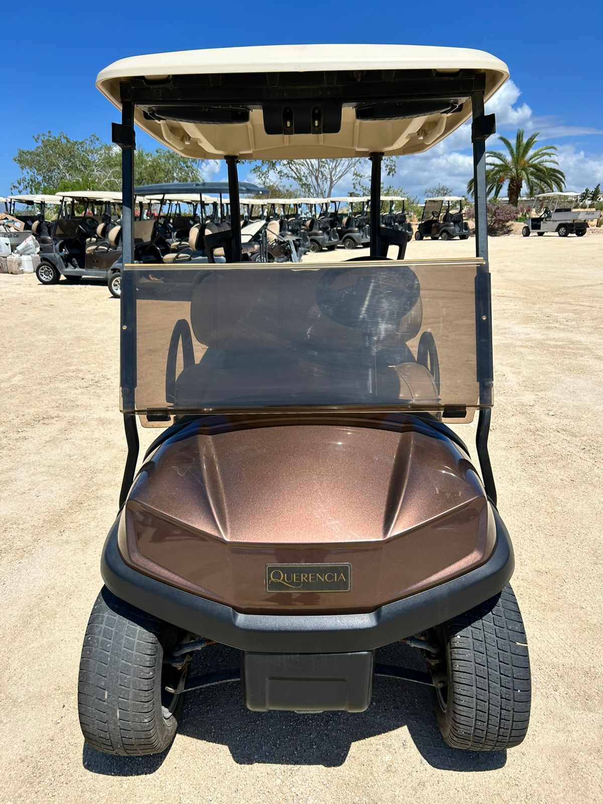Club Car- 2 Pass-Fleet Carts - Hardy Carts & Equipment