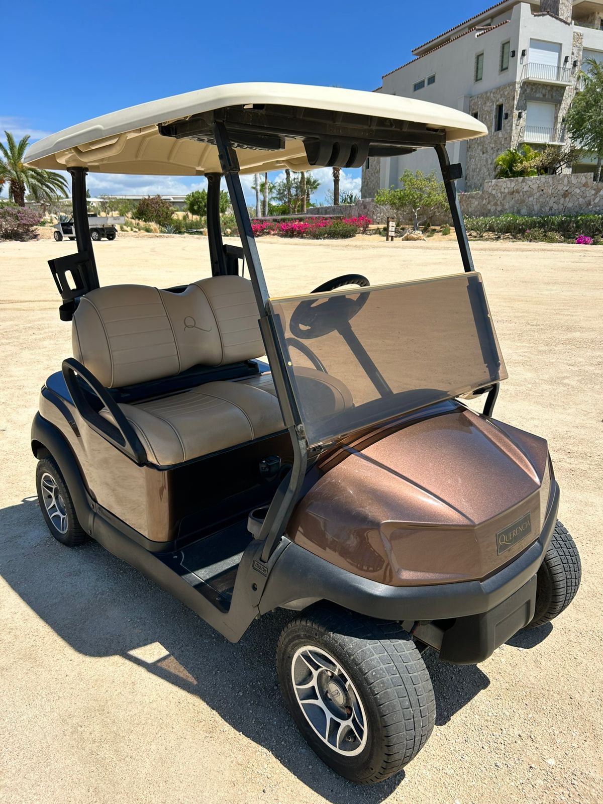 Club Car- 2 Pass-Fleet Carts - Hardy Carts & Equipment