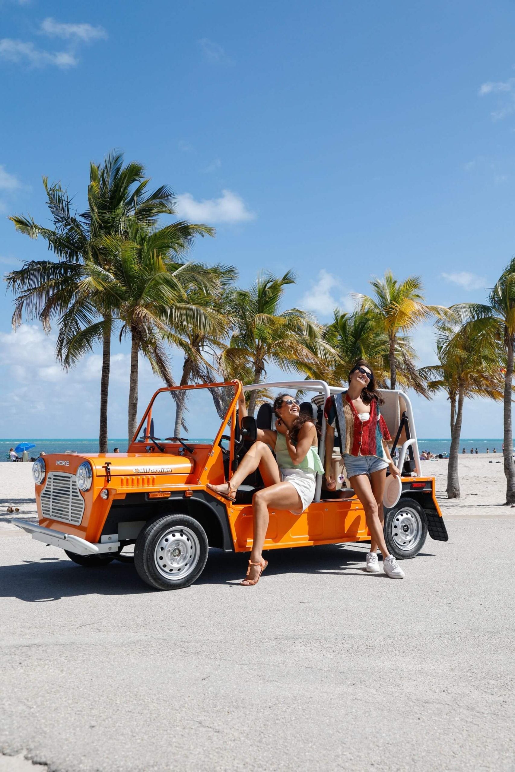 Moke International Mexico - Hardy Carts & Equipment