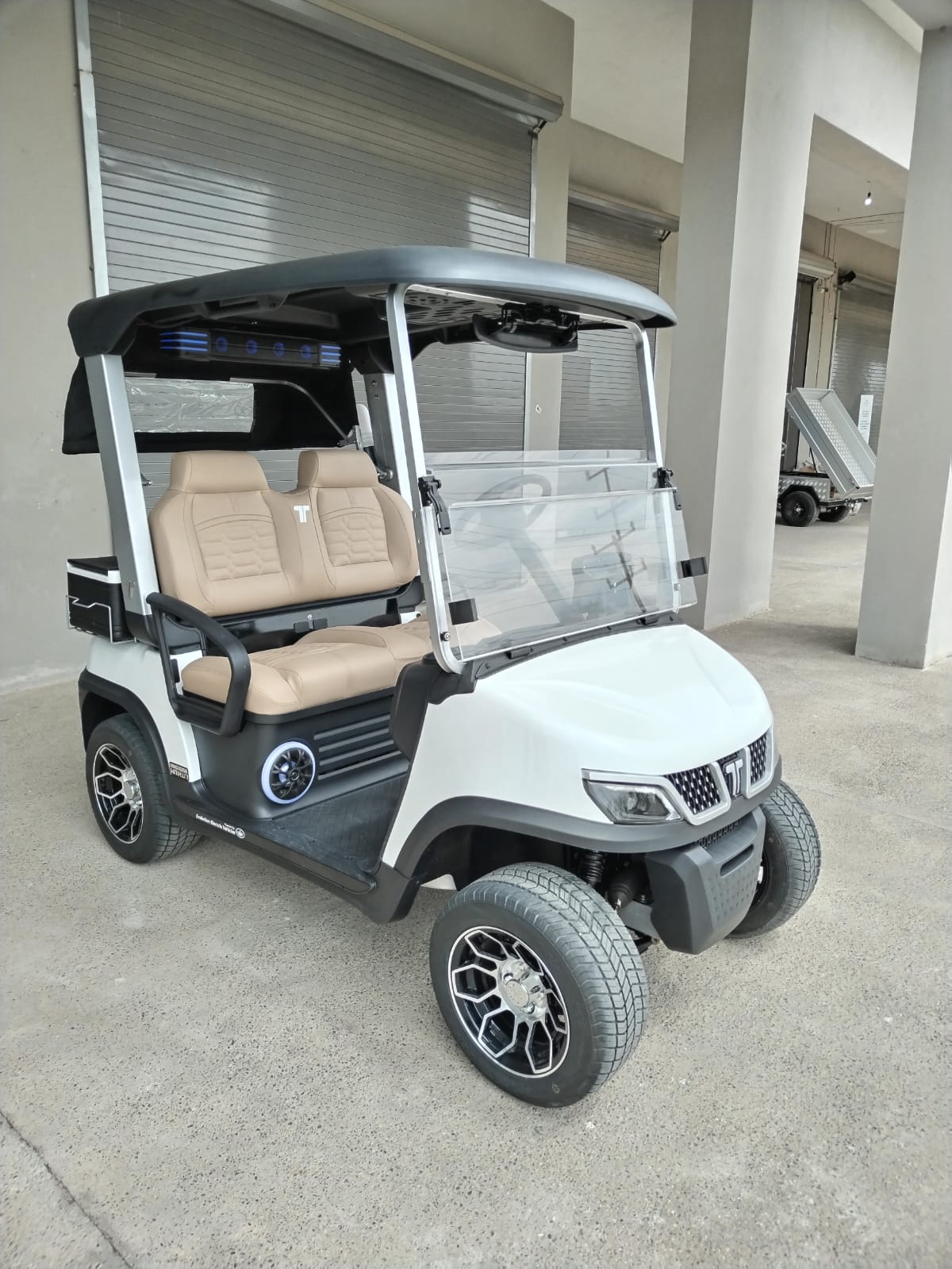 Tara 2 Golf - Mineral White with Beige Seats - Hardy Carts & Equipment