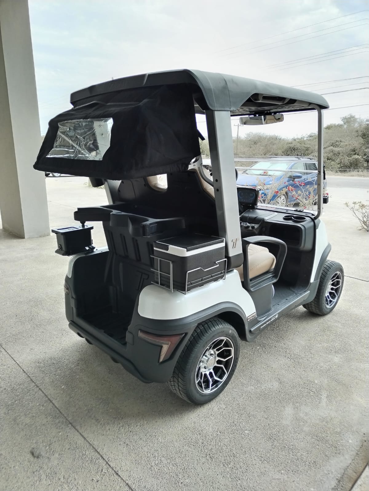 Tara 2 Golf - Mineral White with Beige Seats - Hardy Carts & Equipment