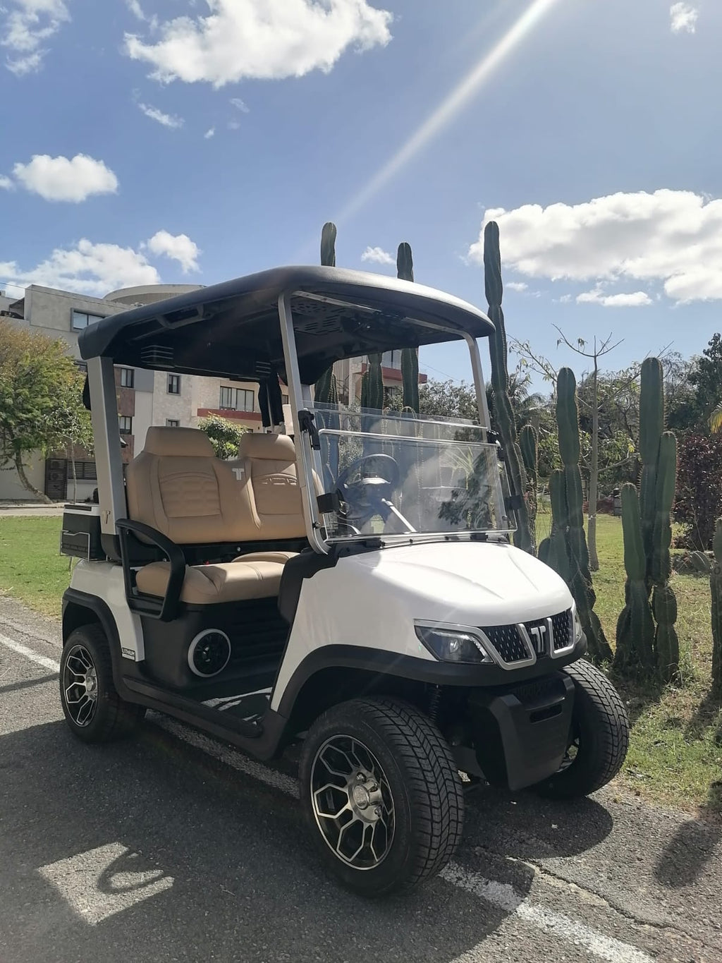TARA Spirit Plus – Mineral White (Beige) - In Stock
