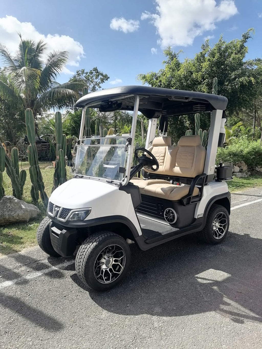 TARA Spirit Plus – Mineral White (Beige) - In Stock