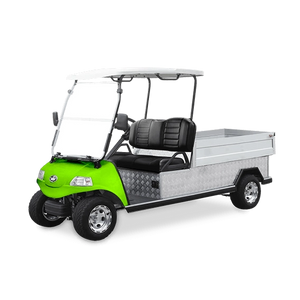 Solid Paints Lime Green