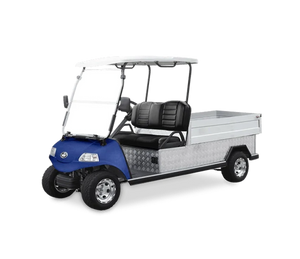 Carrito De Golf Turfman 1000