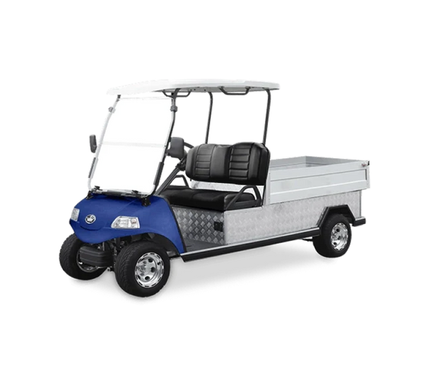 Carrito De Golf Turfman 1000