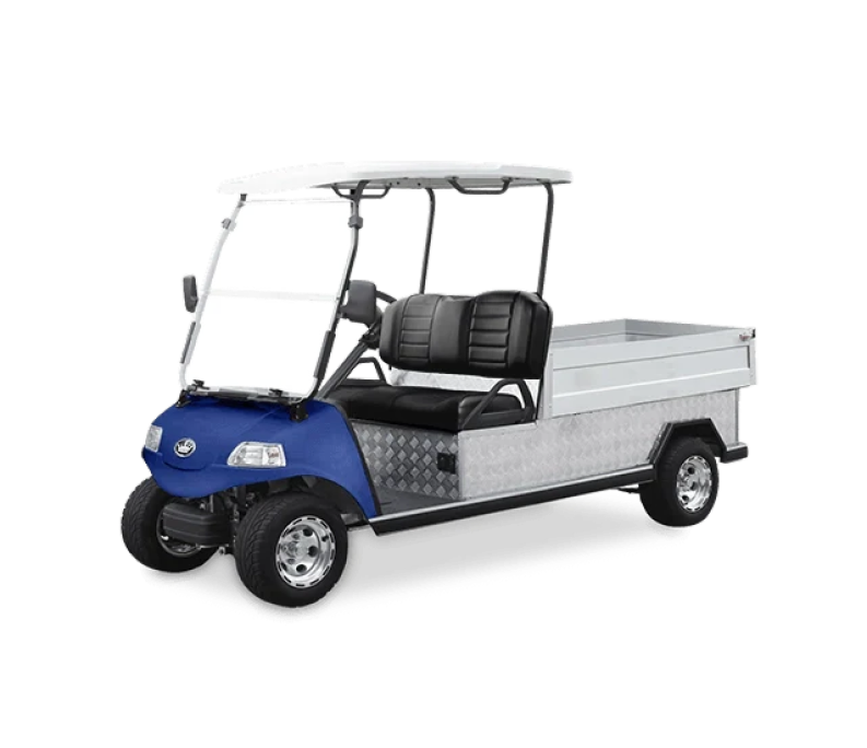 Carrito De Golf Turfman 1000