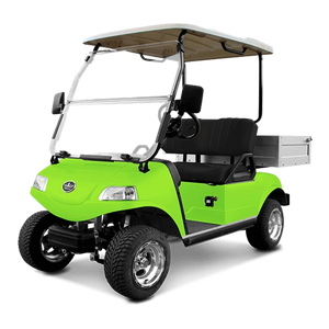 Solid Paints Lime Green