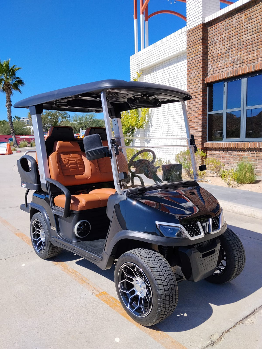 2025 TARA Roadster 2+2 (Black with Brown Seats) - DEMO UNIT - Like New!