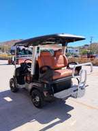 2025 TARA Roadster 2+2 (Black with Brown Seats) - DEMO UNIT - Like New!