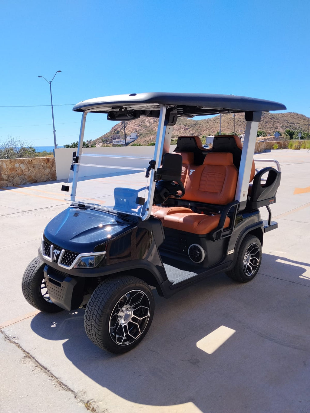 2025 TARA Roadster 2+2 (Black with Brown Seats) - DEMO UNIT - Like New!