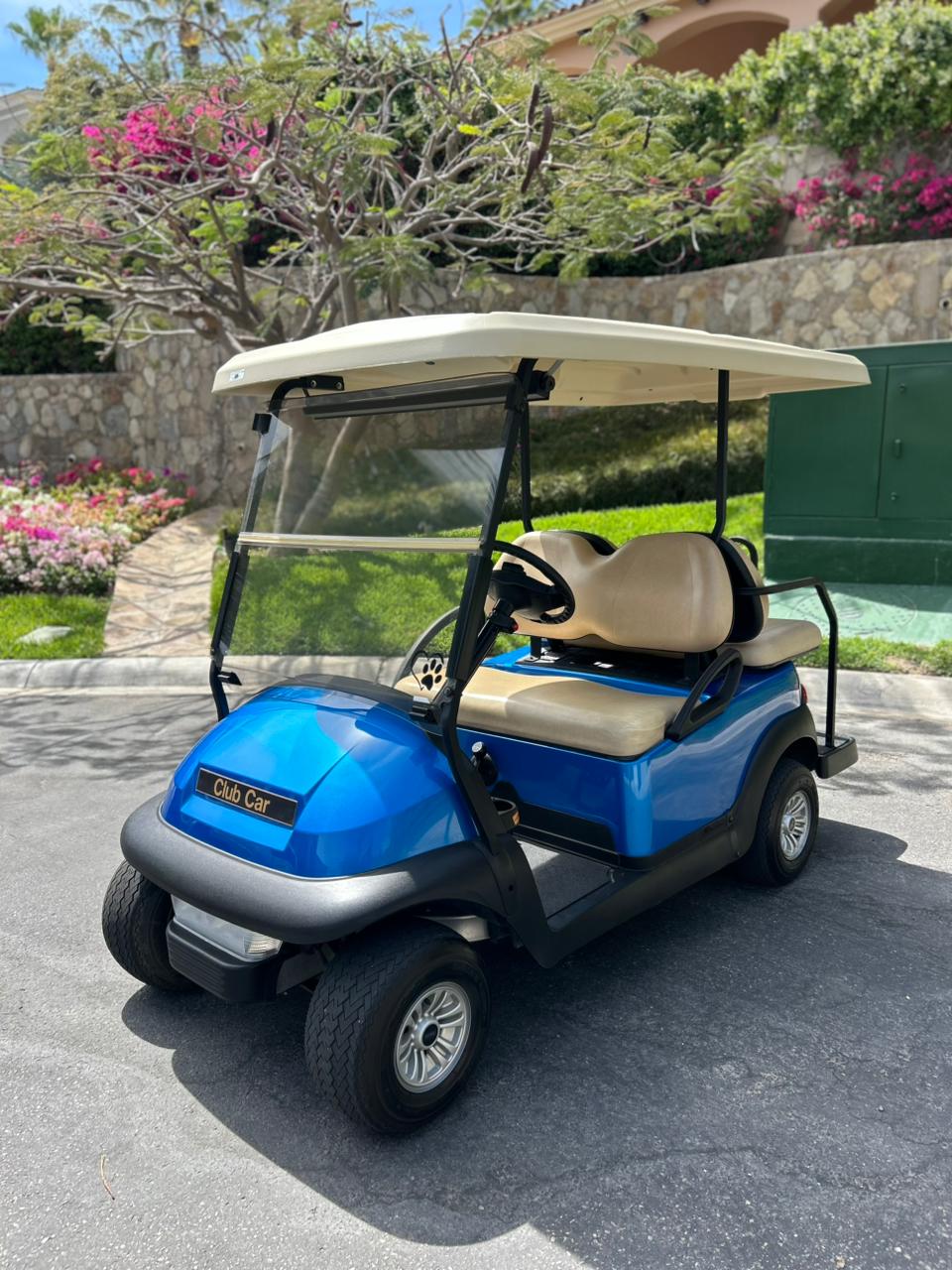 Club Car 2017 – Precedent i2 Gasoline - Used