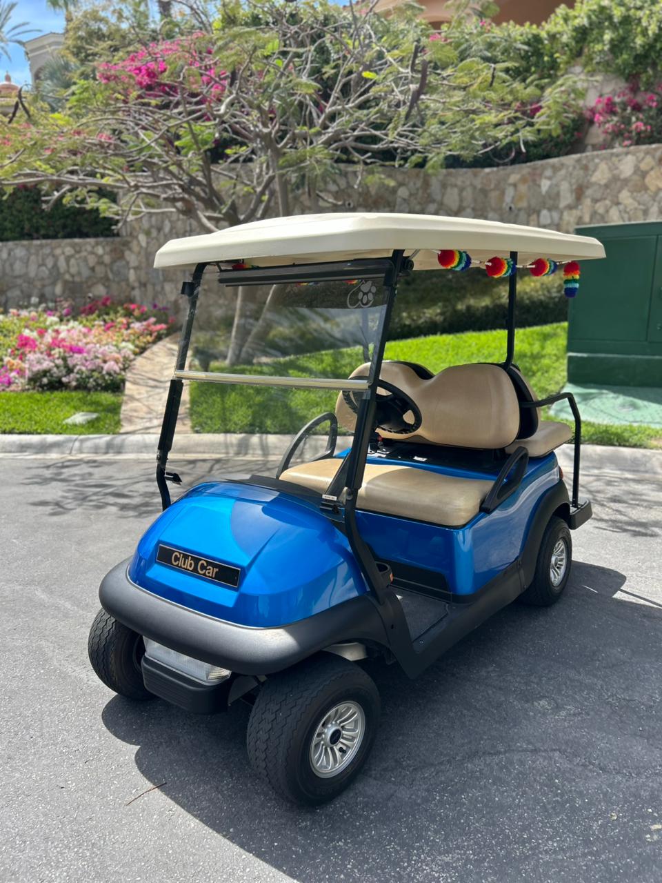 Club Car 2017 – Precedent i2 Gasoline - Used
