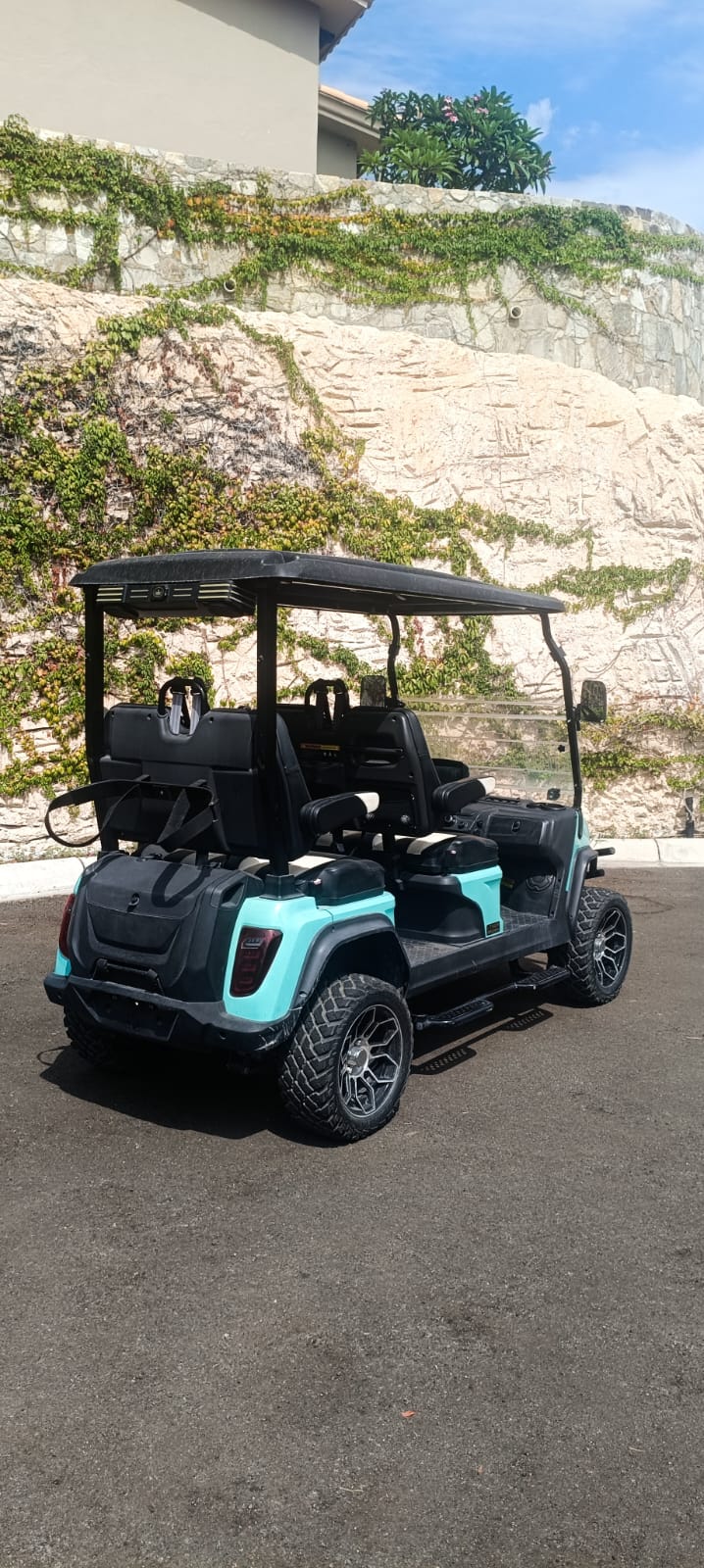 D5 Maverick 4 - Pantone 563c - Black & White - Used - Consignment